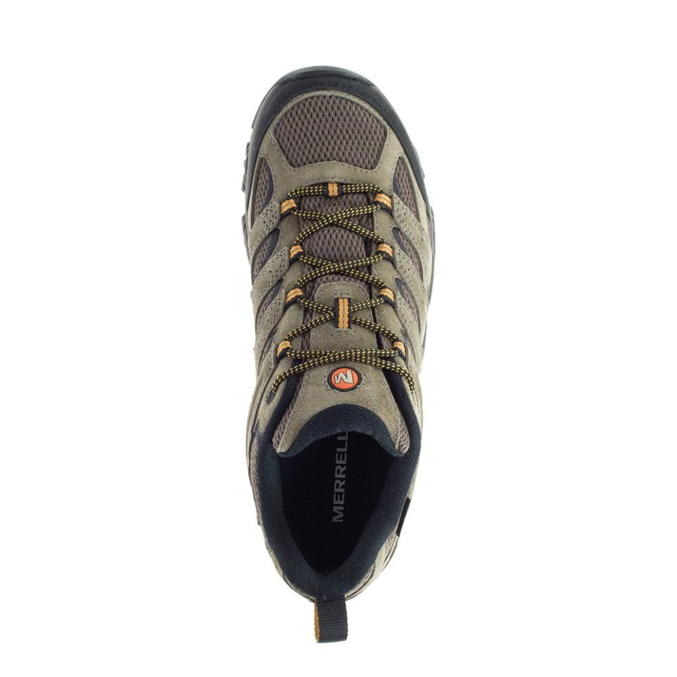 MOAB 3 GTX-brown/beige-41