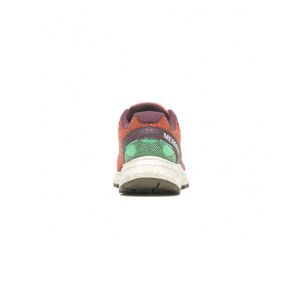J067471 FLY STRIKE